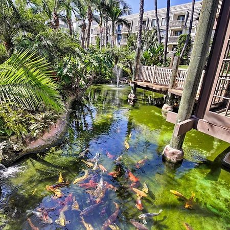 Charming Oceanside Condo With Beach And Pool Access! Zewnętrze zdjęcie