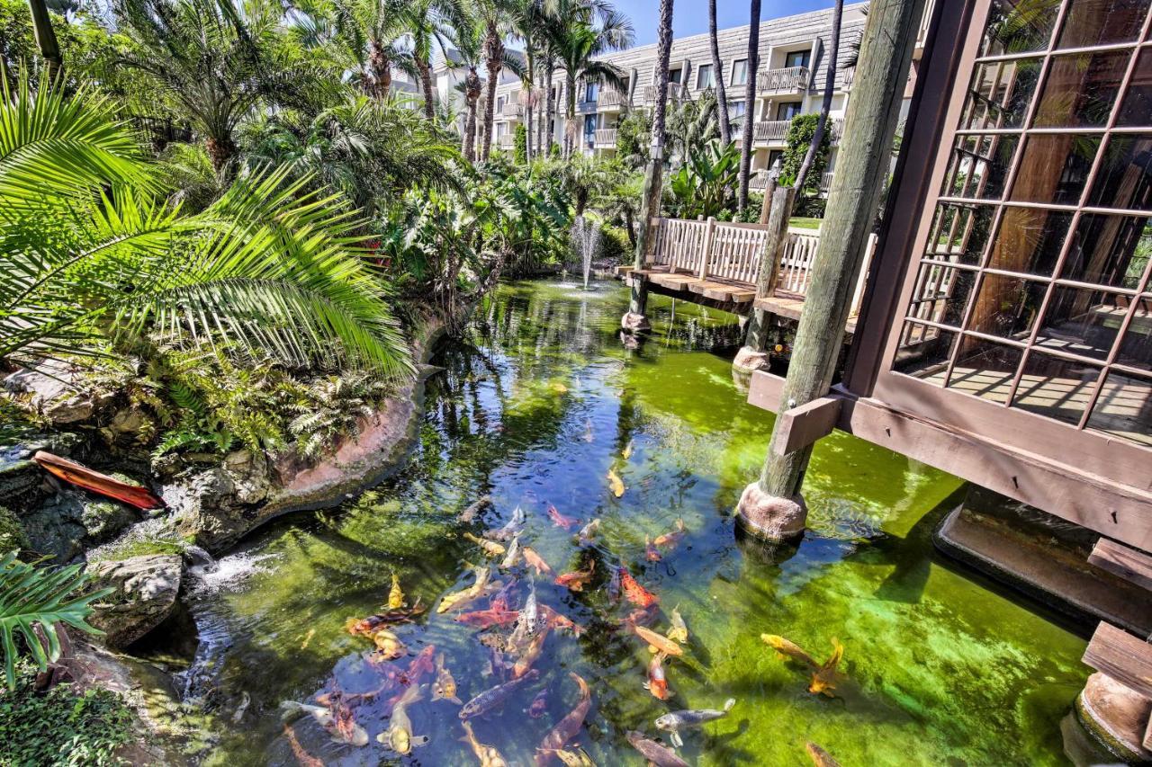 Charming Oceanside Condo With Beach And Pool Access! Zewnętrze zdjęcie